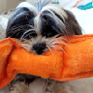 Meet your Posher, Marlena